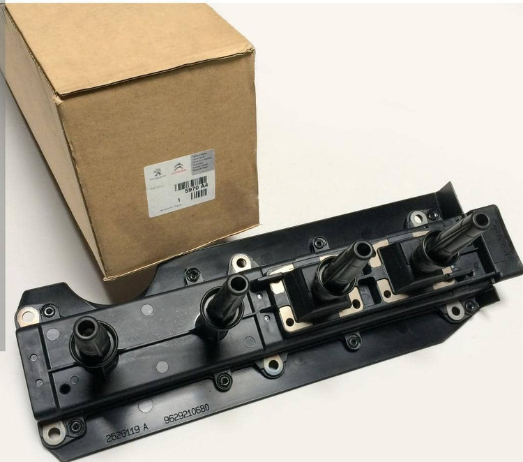 کوئل زانتیا والو فرانسه