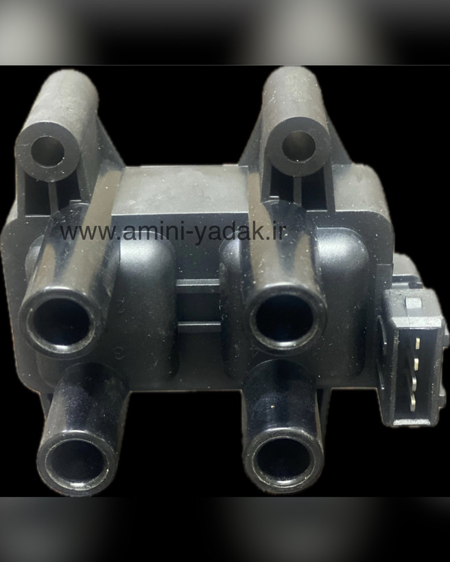 کوئل امویام