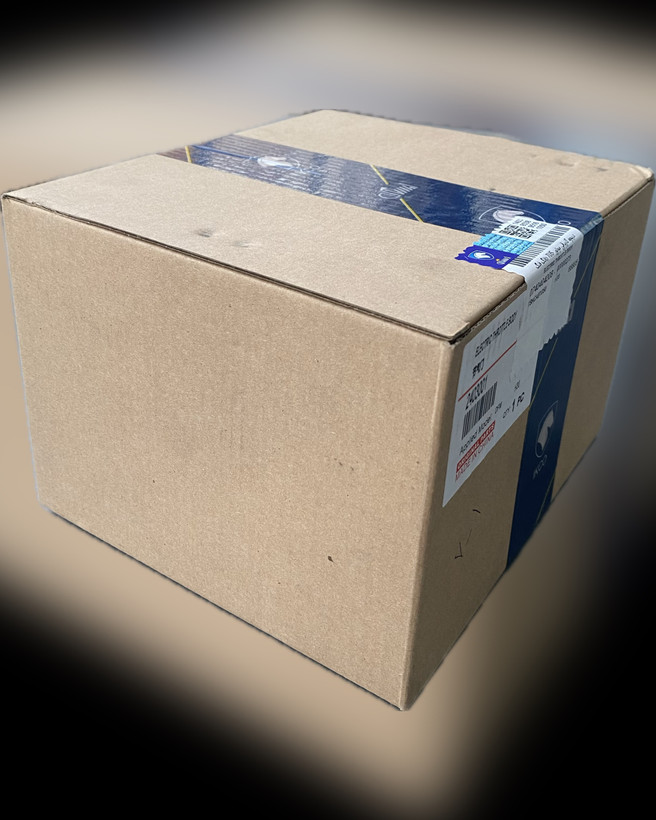 دریچه گاز برقی