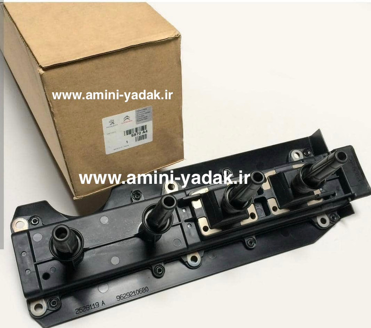 کوئل زانتیا والو فرانسه