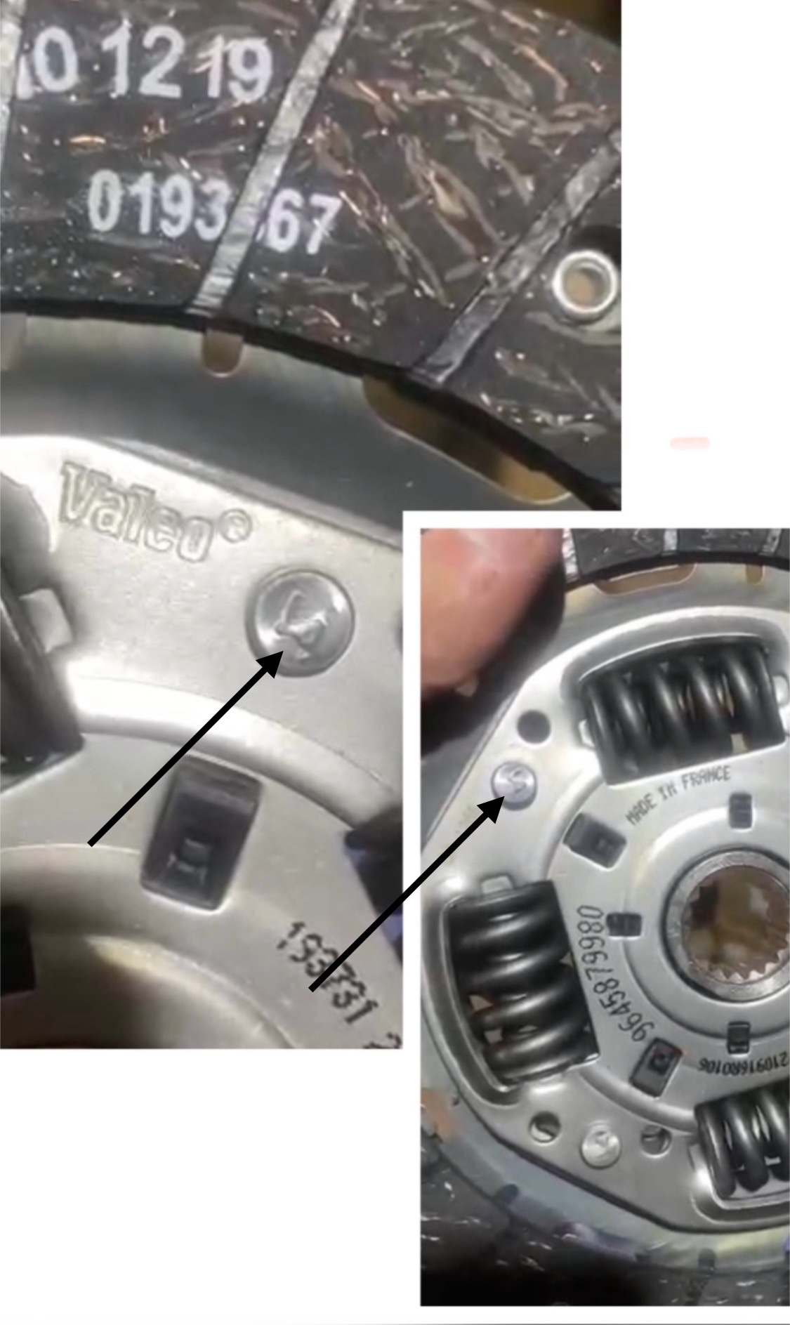 صفحه والو سبز تارا فرانسه